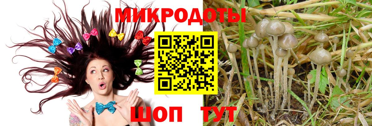 Галлюциногенные грибы Cubensis Ачхой-Мартан