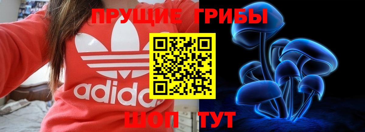Ачхой-Мартан  где купить наркотик  Вход с VPN  Галлюциногенные грибы MAGIC MUSHROOMS 